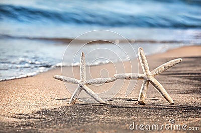 Starfish love Stock Photo