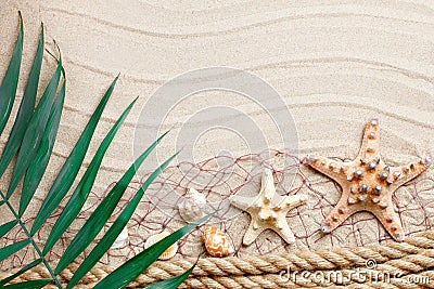 Starfish and palm leaves lying on the sea sand . There is a place for labels. Stock Photo