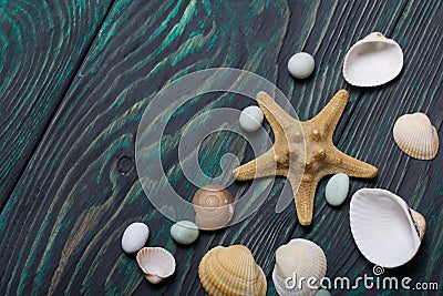 Starfish, pebbles and many different seashells. On brushed pine boards painted black and green Stock Photo