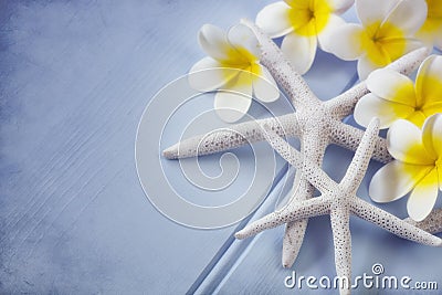 Starfish and Plumeria Flowers Stock Photo