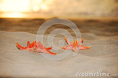 Starfish on sand sea sunset Stock Photo