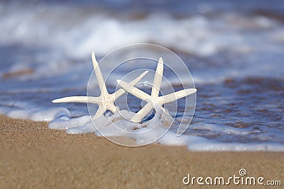 Starfish in the Sand With Seafoam Waves Stock Photo