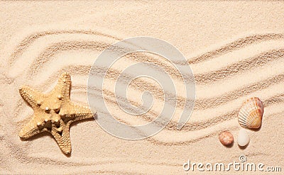 Starfish, scallop seashell and two stones on beach sand Stock Photo