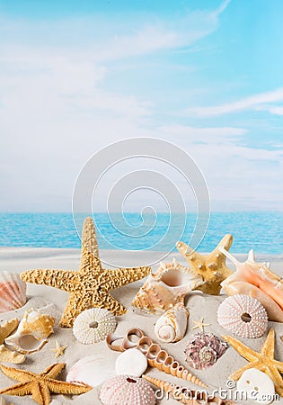Starfish and sea shells Stock Photo