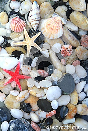 Starfish, seashell, and colorful pebble stones Stock Photo