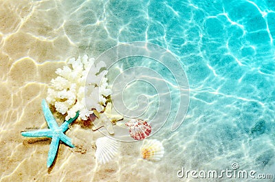 Starfish and seashell on the summer beach in sea water. Summer background. Summer time. Stock Photo
