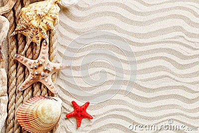 Starfish, seashells, sea stones and palm leaves lying on the sea sand . There is a place for labels. Stock Photo