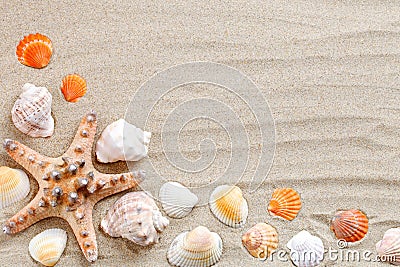 Starfish, seashells, sea stones and palm leaves lying on the sea sand . There is a place for labels. Stock Photo