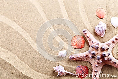 Starfish, seashells, sea stones and palm leaves lying on the sea sand . There is a place for labels. Stock Photo