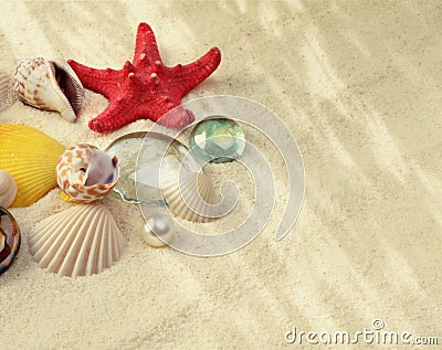 Starfish and shell on sand with copy space. Light and shadows nature background. Beige vintage color tone Stock Photo