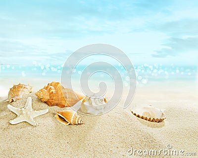 Starfish and shells on the beach. Stock Photo