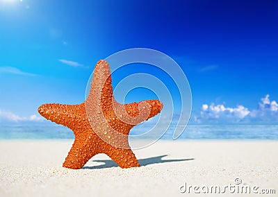 Starfish Standing on the Beach Stock Photo