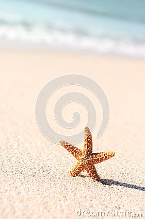Starfish in vacations Stock Photo
