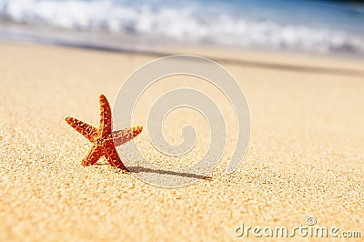 Starfish in vacations Stock Photo