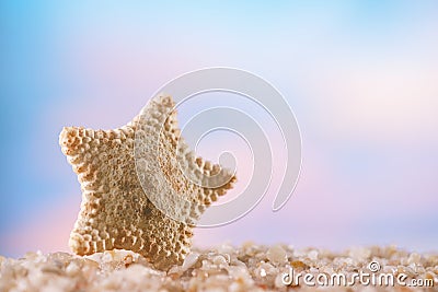 Starfish on white ocean beach Stock Photo