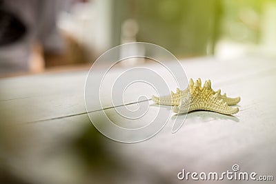 Starfish on white wooden table Stock Photo