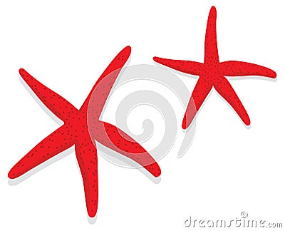 Starfishes vector Vector Illustration