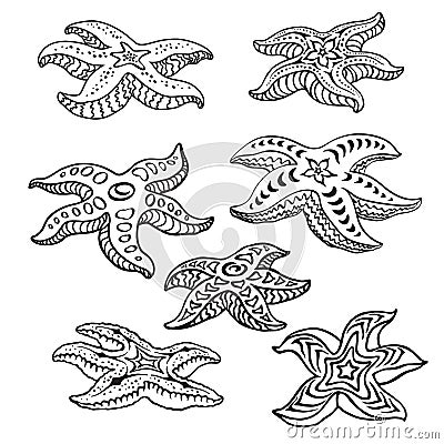 Starfishes Vector Illustration