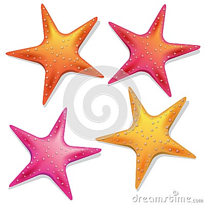 Starfishes Vector Illustration