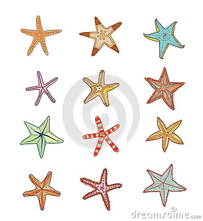 Starfishes set .hand drawn Vector Illustration Vector Illustration