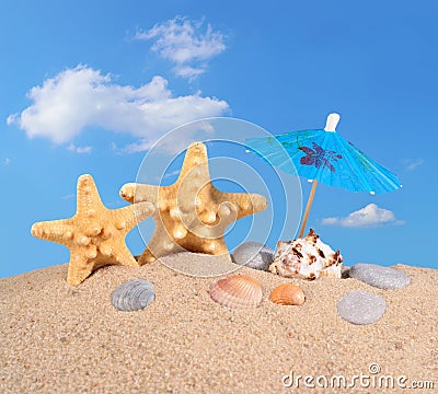 Starfishs and seashells on a beach sand Stock Photo