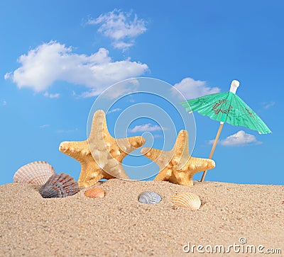 Starfishs and seashells on a beach sand Stock Photo