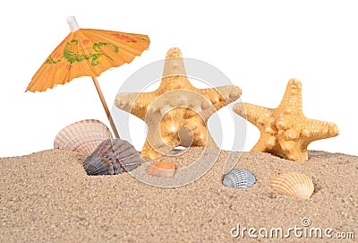 Starfishs and seashells in sand on a white Stock Photo