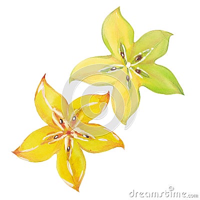 Starfruit or carambola Cartoon Illustration