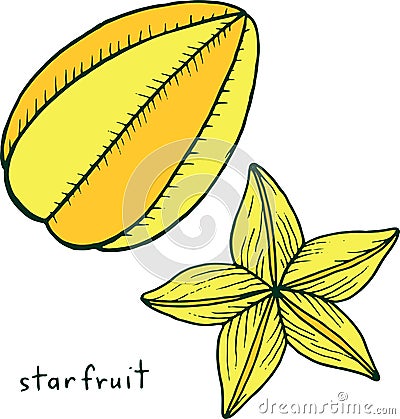 Starfruit coloring page. Graphic vector colorful doodle art for Vector Illustration