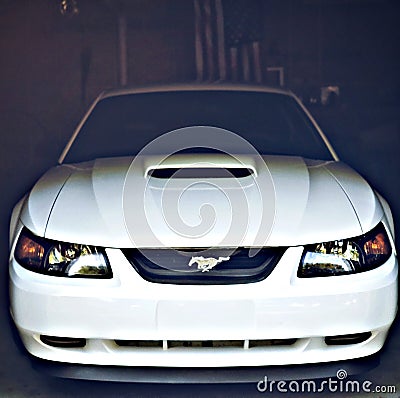 Starin Stang Editorial Stock Photo