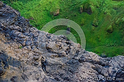 Stark contrast between green moss and grass and brown rock cliff deep in rain forest of Cameroon, Africa Stock Photo