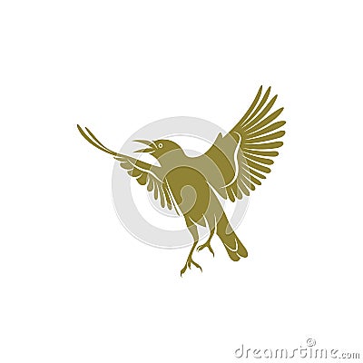 Starling bird design vector illustration, Creative Starling bird logo design concept template, symbols icons Vector Illustration
