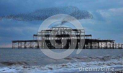 Starlings over the West Pier Stock Photo