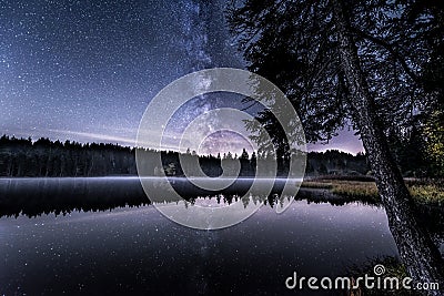 Starry Lakeside Stock Photo