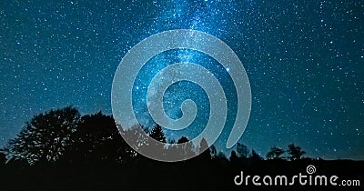 Starry night above the forest showing the milky way Stock Photo