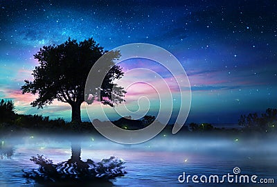 Starry Night With Lonely Tree Stock Photo