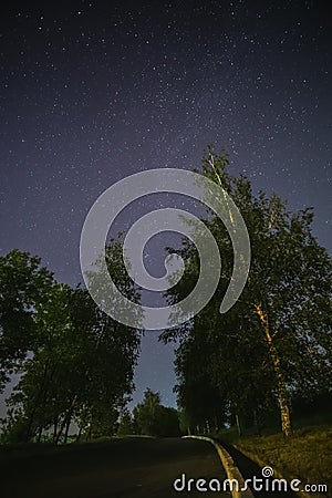 Starry night with a starry sky and the Milky Way against the background of birches in the national park of Ukraine Stock Photo