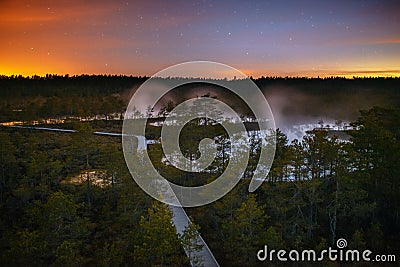 Starry night at a swamp Stock Photo