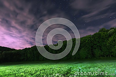 Starry Night, White clouds, many stars, green forest. The edge of the forest. Stock Photo