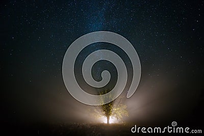 Starry sky and magical tree lit by torch Stock Photo