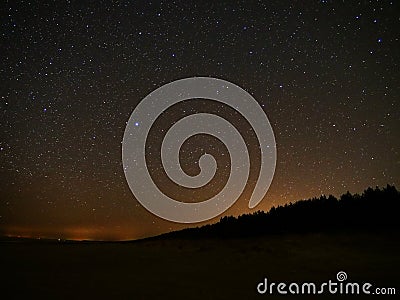Starry sky over forest Stock Photo