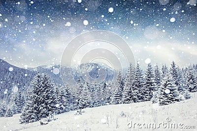 Starry sky in winter snowy night. Carpathians, Ukraine, Europe Stock Photo