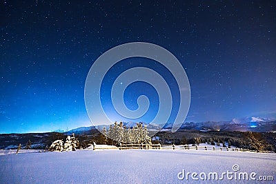 Starry winter night Stock Photo