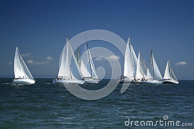 Start of a sailing regatta Stock Photo