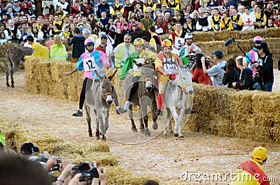 Start of the truffle fair in Alba (Cuneo), has been held for more than 50 years, the donkey race Editorial Stock Photo