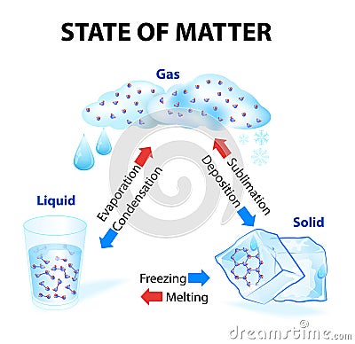 State of matter Vector Illustration