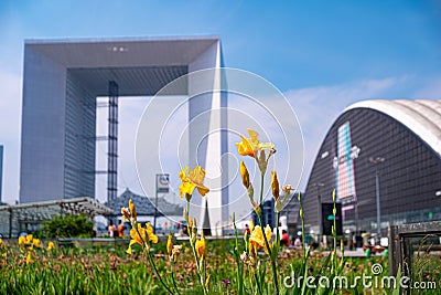 Static shot of blooming flower at La Defense business district in Paris with skyscrapers defocused on the background Editorial Stock Photo
