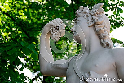 Statue of Bacchus in the Summer Garden Stock Photo