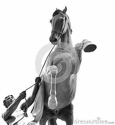 Statue of the conquest of a horse on the Anichkov Bridge. Stock Photo