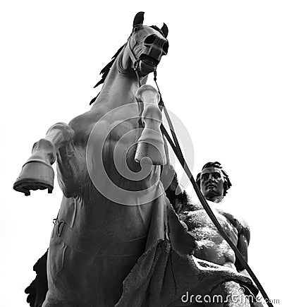 Statue of the conquest of a horse on the Anichkov Bridge. Stock Photo